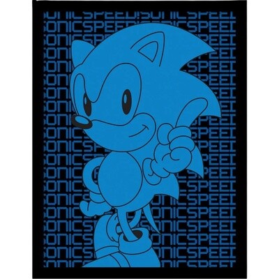 Sonic The Hedgehog (Sonic Speed) Collector Print (Framed)