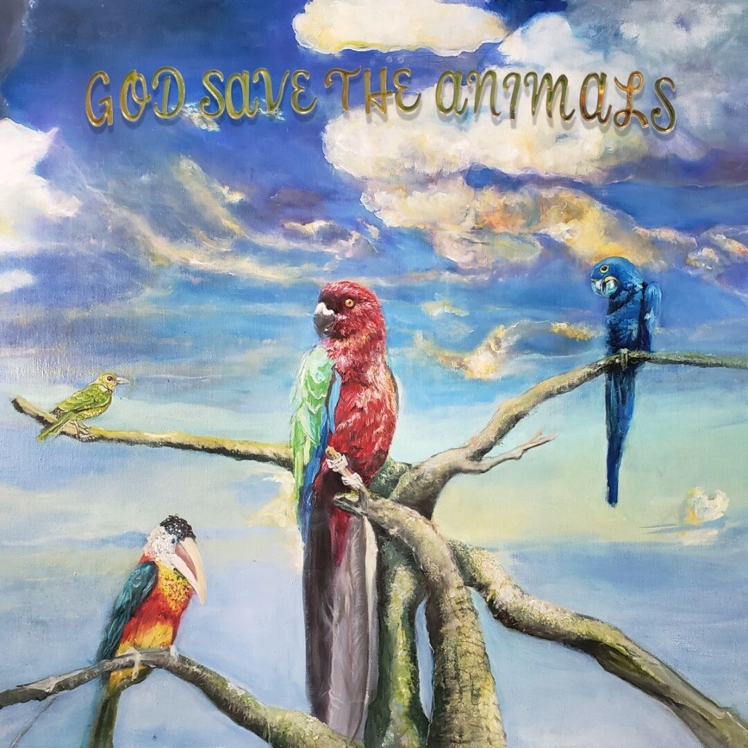 Alex G | God Save The Animals | CD 1543
