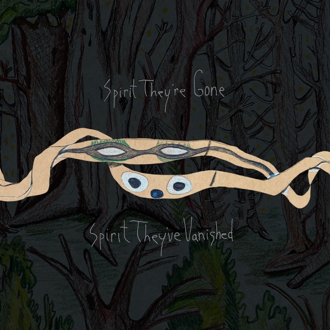 Animal Collective | Spirit They&#39;re Gone, Spirit They&#39;ve Vanished | CD 1537