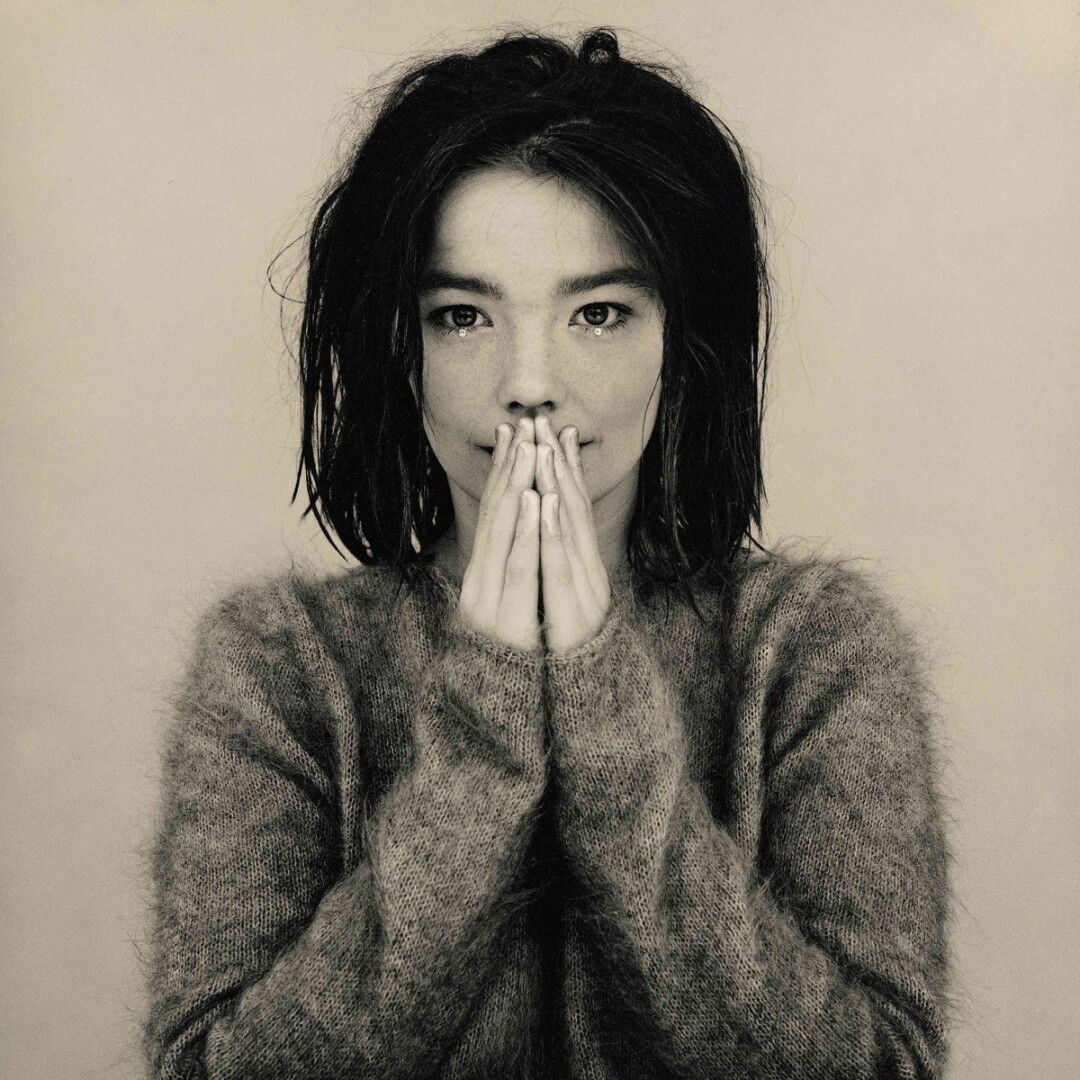 Bjork | Debut | CD 1617