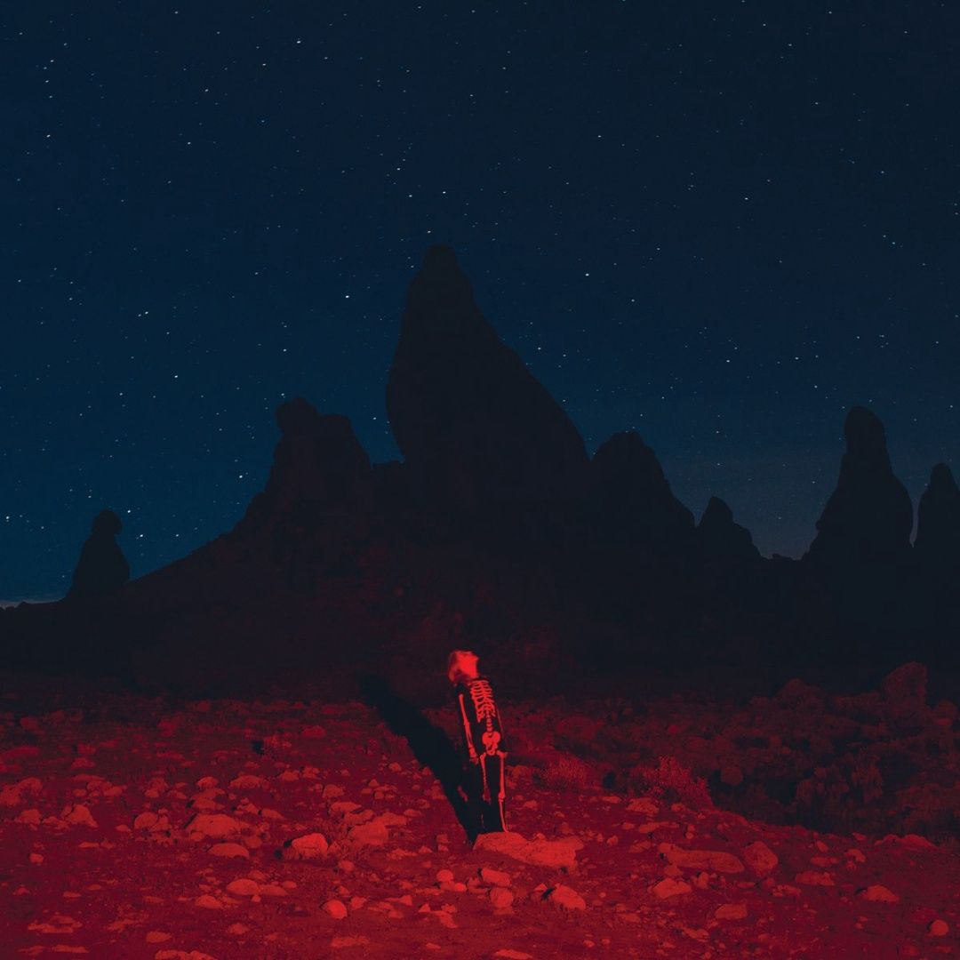 Phoebe Bridgers | Punisher | CD 1567
