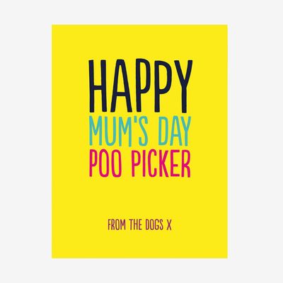 POO PICKER MUMS DAY