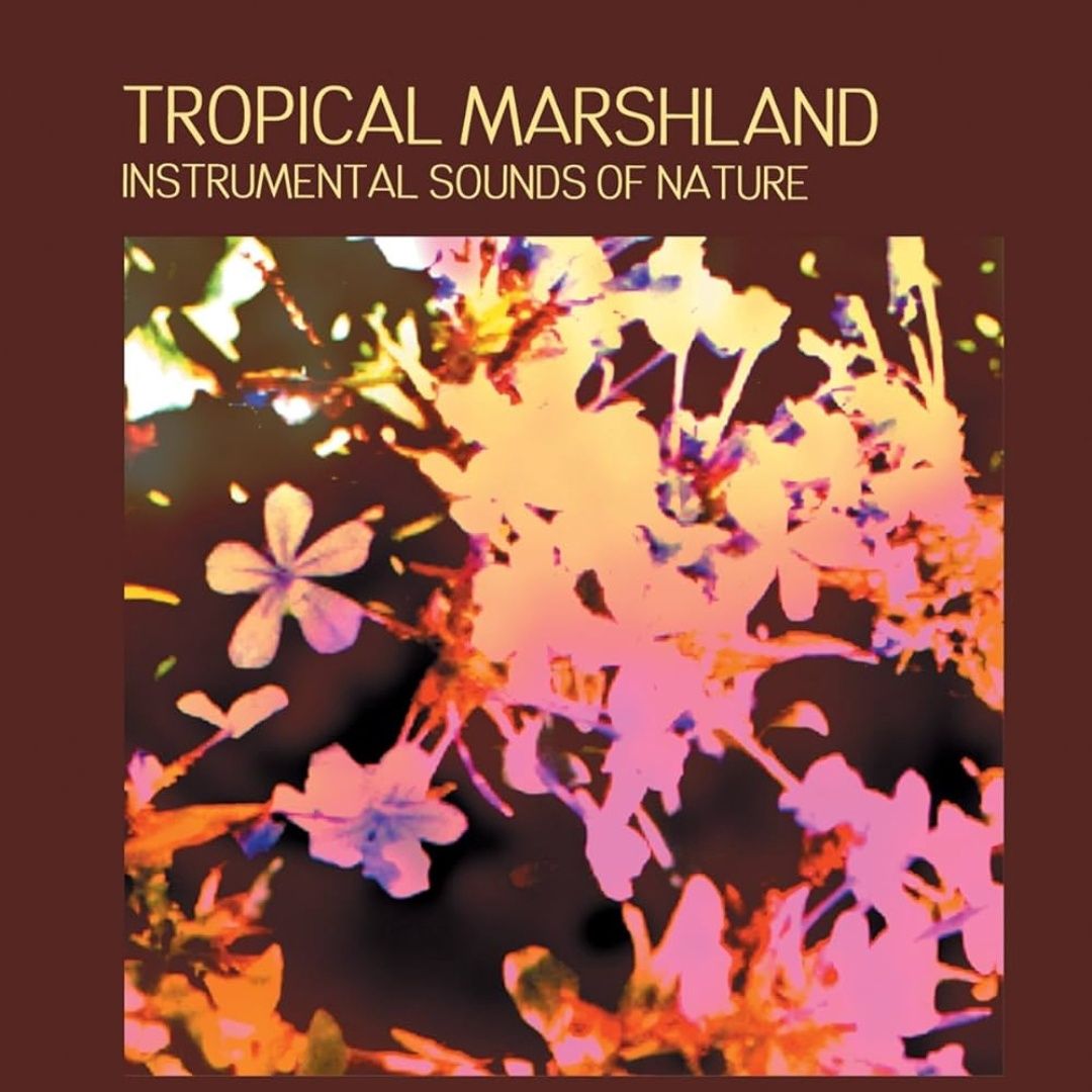 Various | Instrumental Sounds of Nature: Tropical Marshland | CD 1133