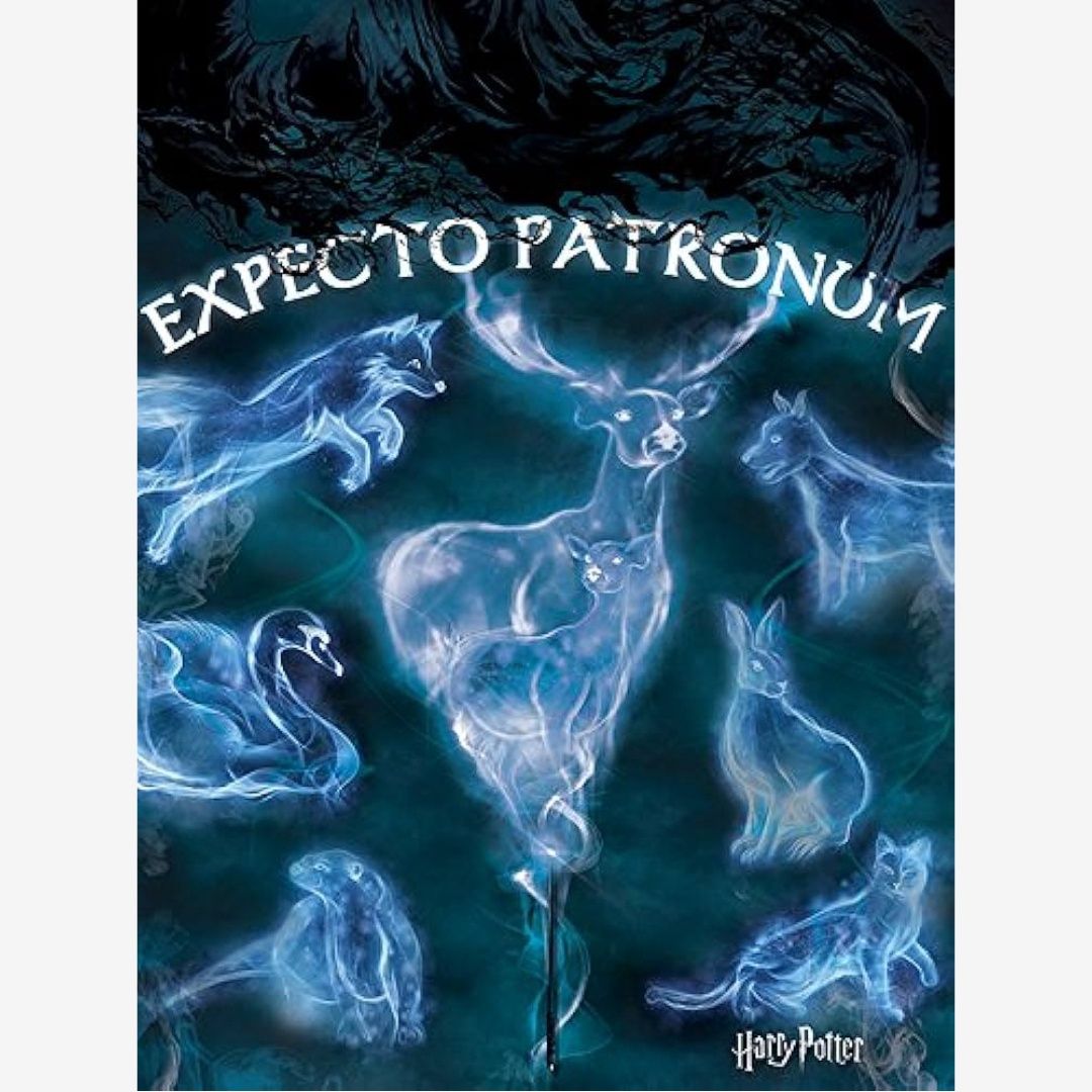 HARRY POTTER (PATRONUS) 60X80 CANVAS