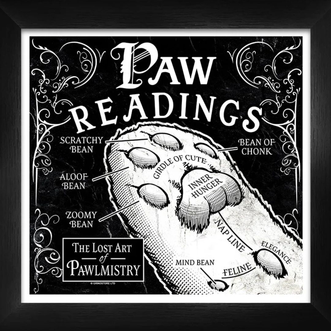 Paw Readings Framed Print