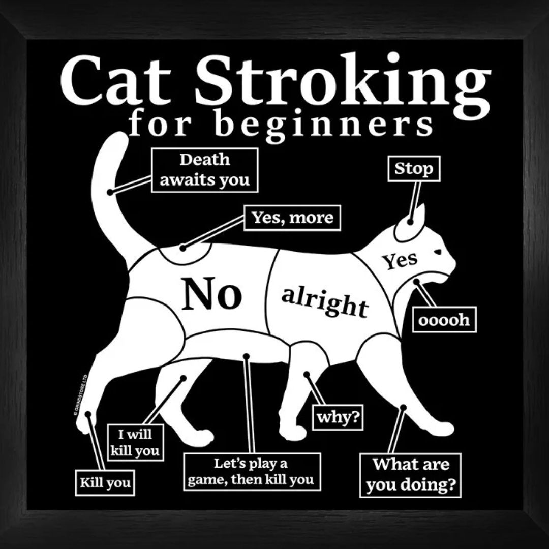Cat Stroking For Beginners Framed Print
