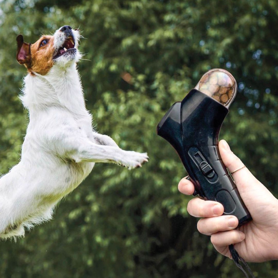 Pet Snack Launcher