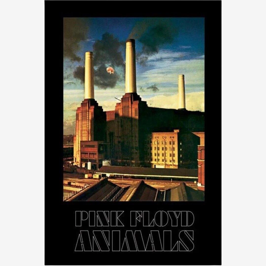PINK FLOYD - ANIMALS MAXI POSTER (A15)