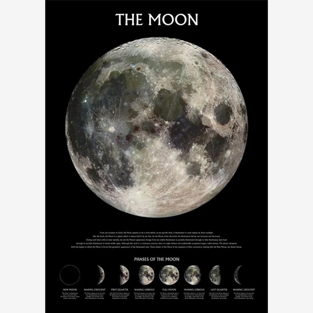 THE MOON - OUTER SPACE MAXI POSTER (A8)