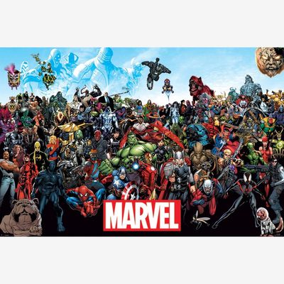 MARVEL (UNIVERSE) MAXI (A13)