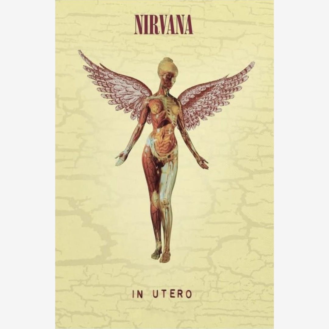 NIRVANA (IN UTERO) MAXI POSTER (A79)