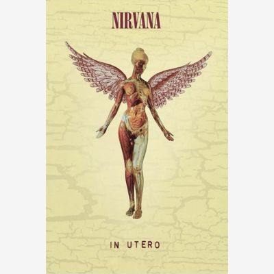 NIRVANA (IN UTERO) MAXI POSTER (A79)