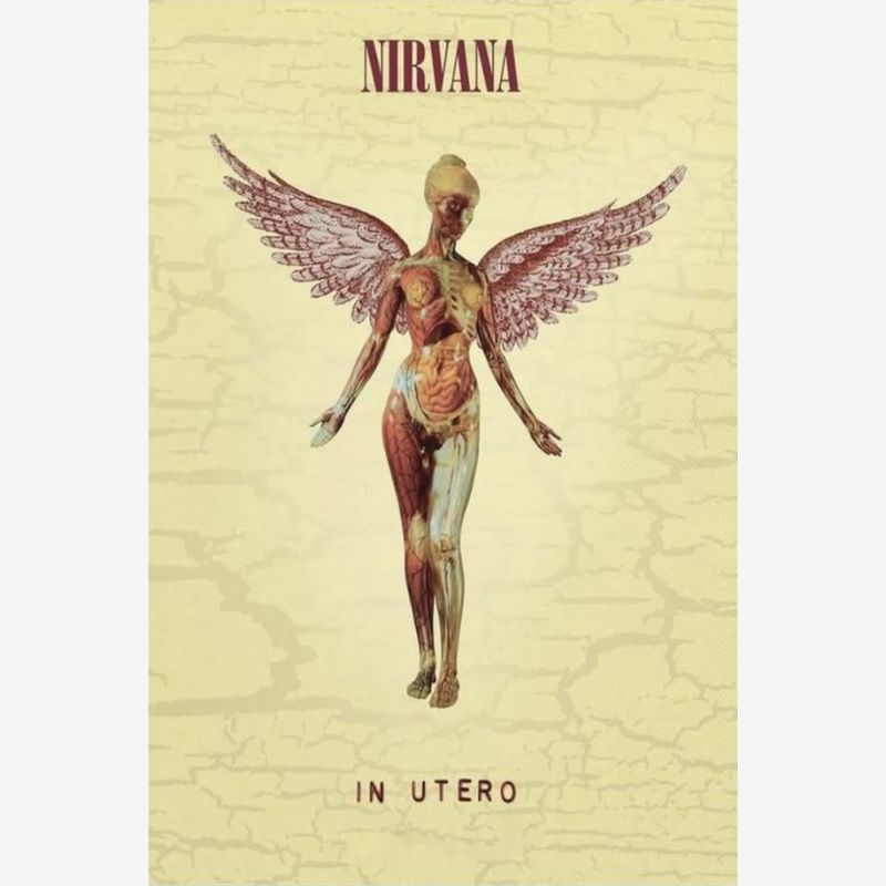 NIRVANA (IN UTERO) MAXI POSTER (A79)