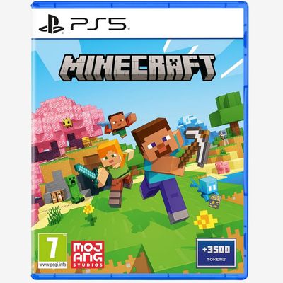 Minecraft | PS5 1402