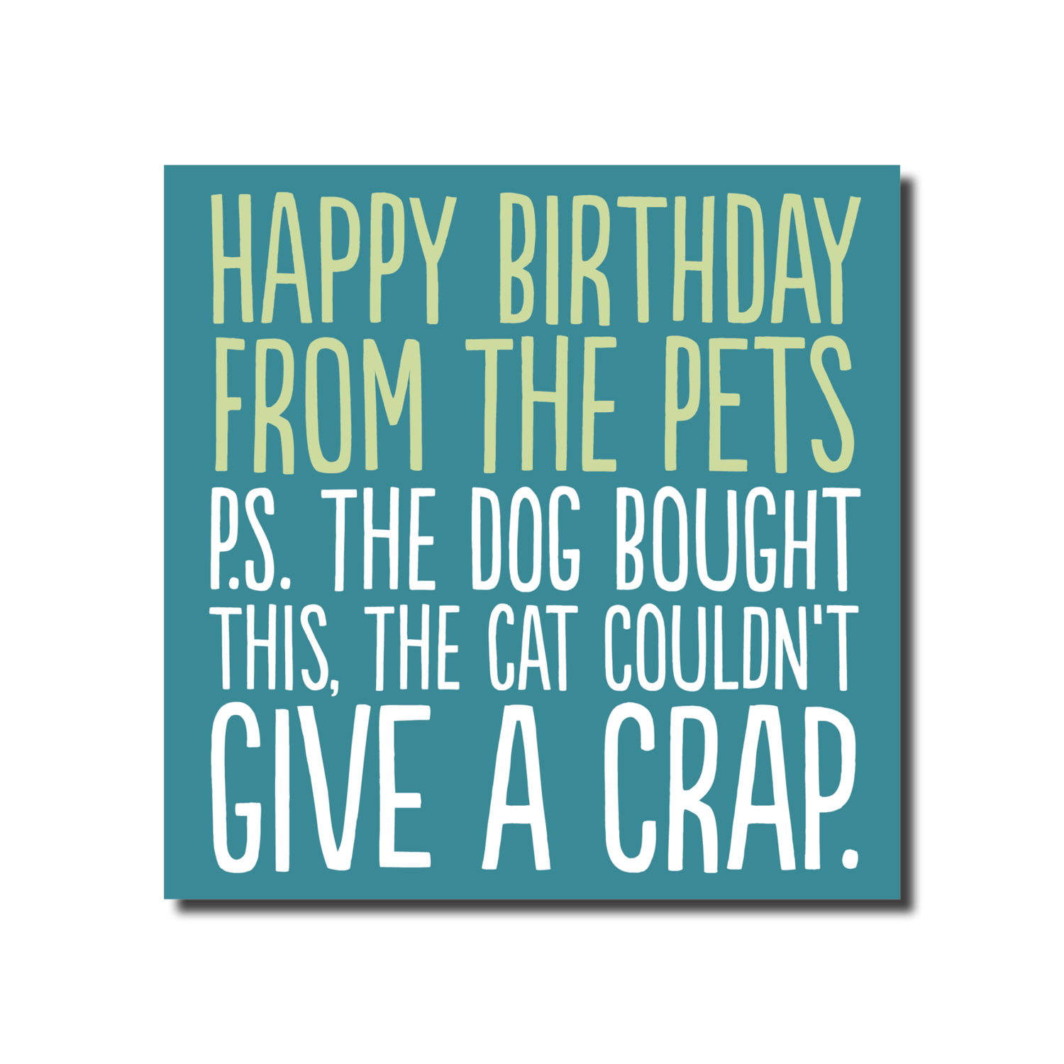 BDAY PETS