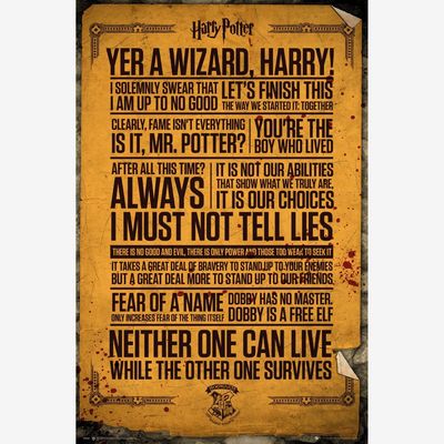 Harry Potter Quotes Maxi Poster (A33)