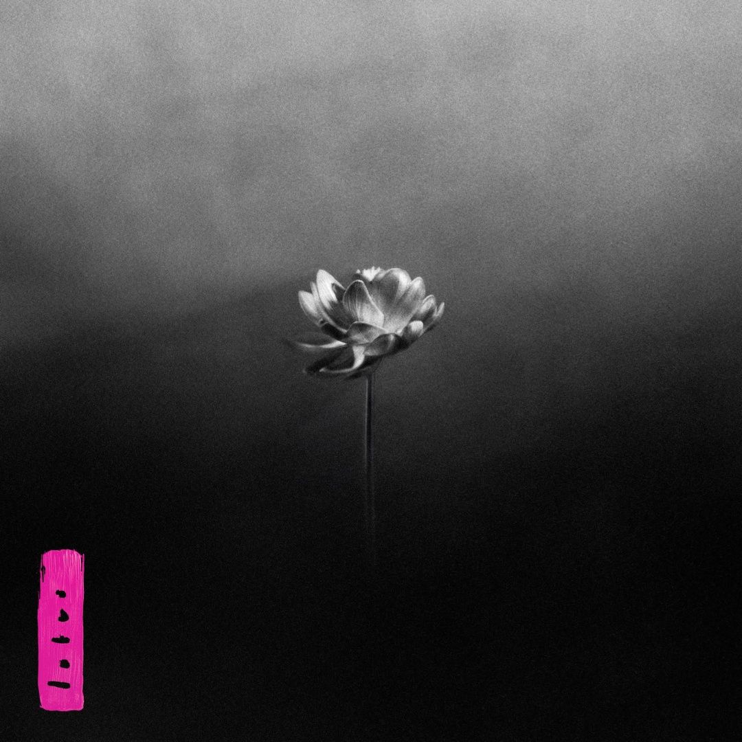 Little Simz | Lotus | CD 11