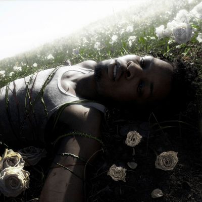 d4vd | WITHERED | CD 1472