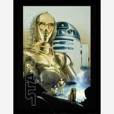 Star Wars (Droids Key Art) Collector Framed Print