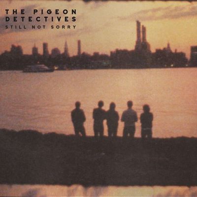 The Pigeon Detectives | Still Not Sorry | CD 1080