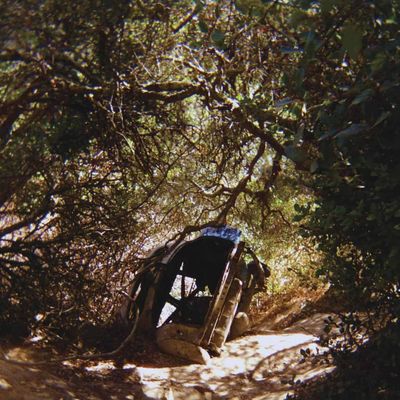 Ty Segall | Possession | CD 1620