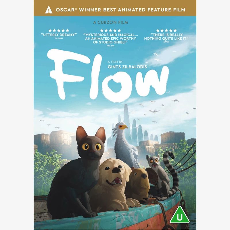 Flow | DVD 490