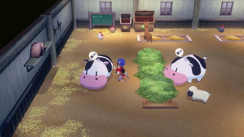 Story of Seasons: Grand Bazaar | Switch 164