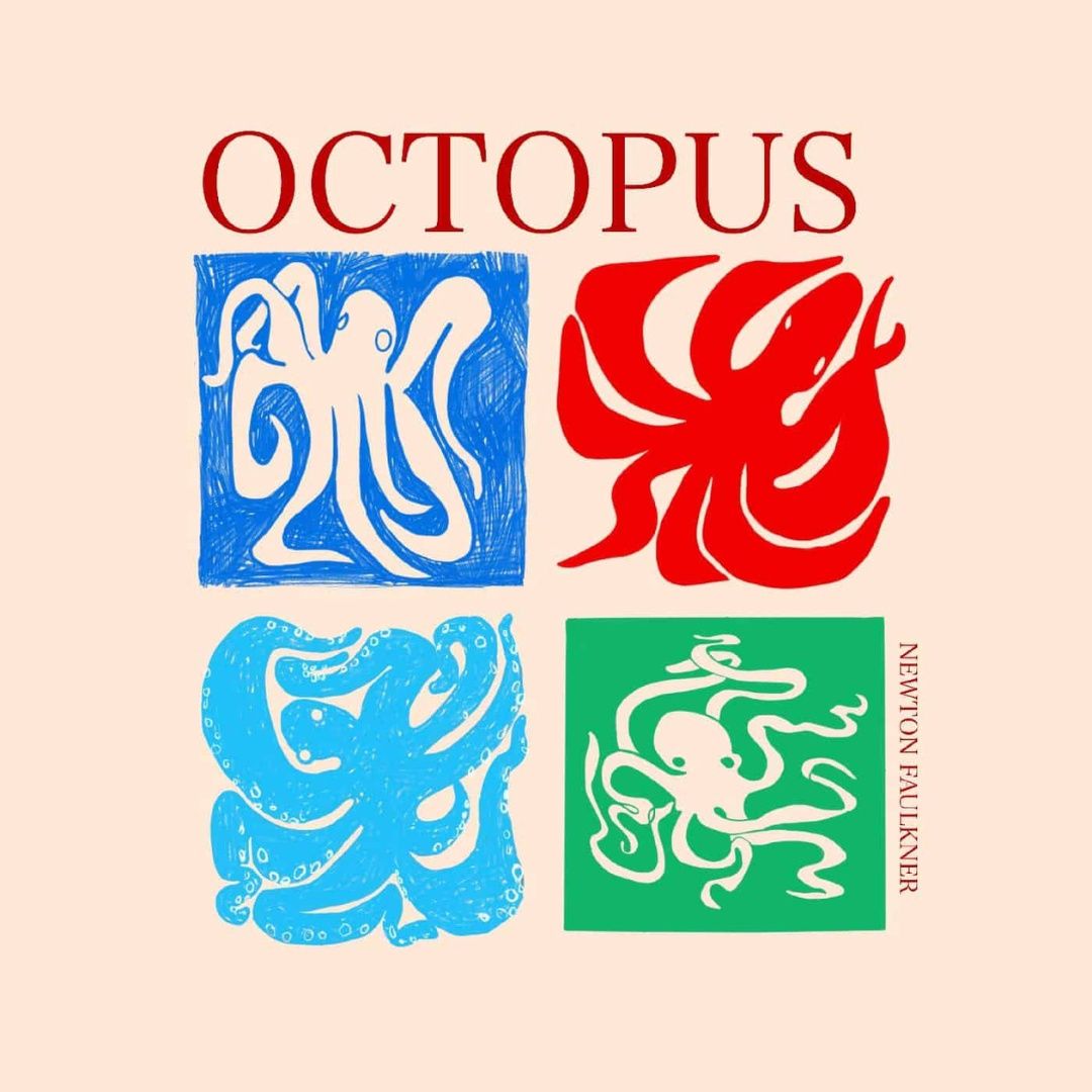 Newton Faulkner | Octopus | CD 614