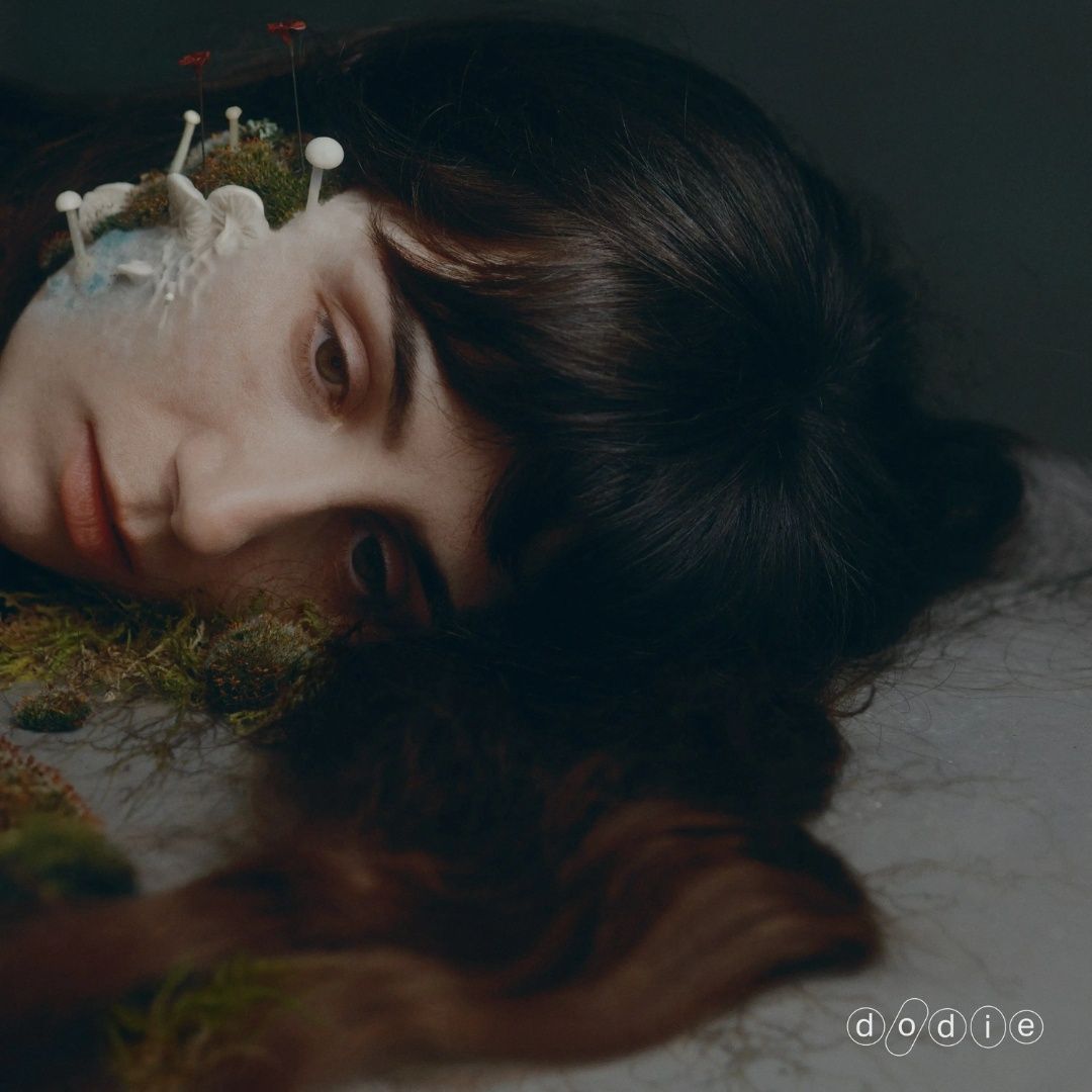 dodie | Not For Lack Of Trying | CD 259