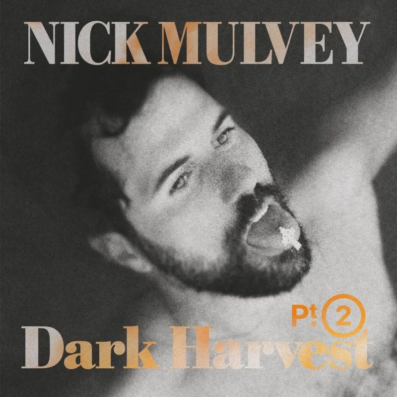 Nick Mulvey | Dark Harvest Pt. 2 | CD 1175