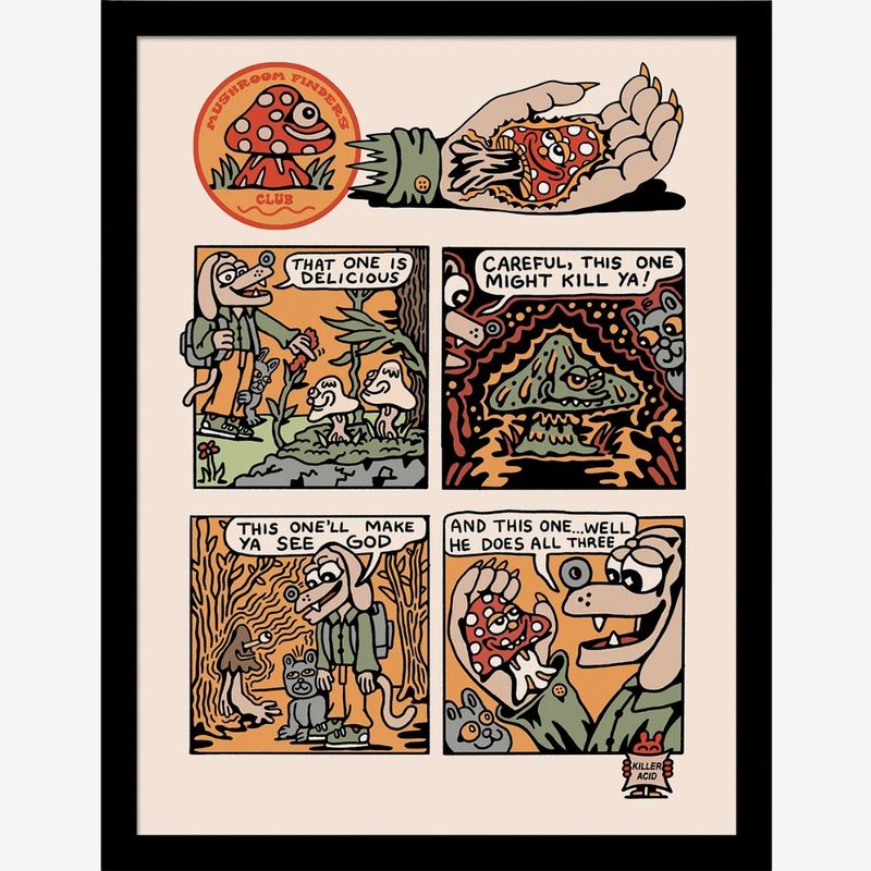Killer Acid (Mushroom Finders Club) Framed 30x40cm Print