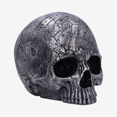 Mind Map Skull 15cm