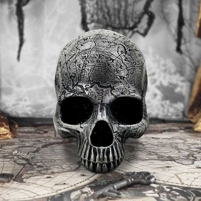 Mind Map Skull 15cm