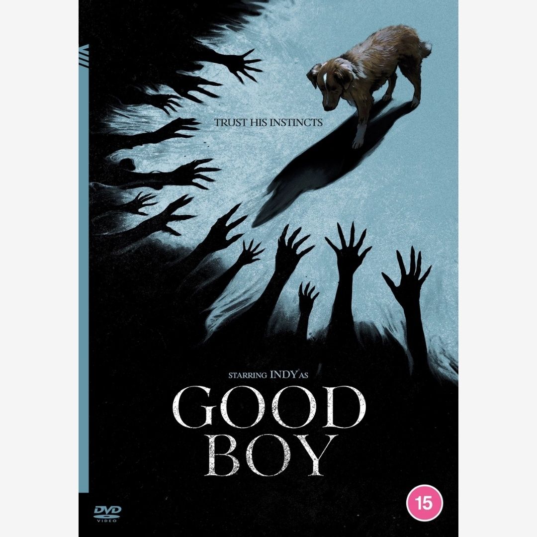 Good Boy | DVD 368