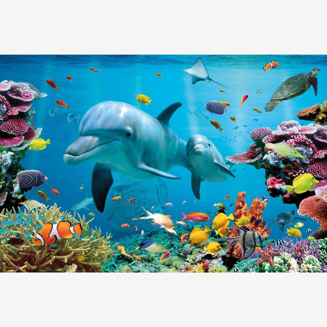 TROPICAL OCEAN MAXI POSTER (55)
