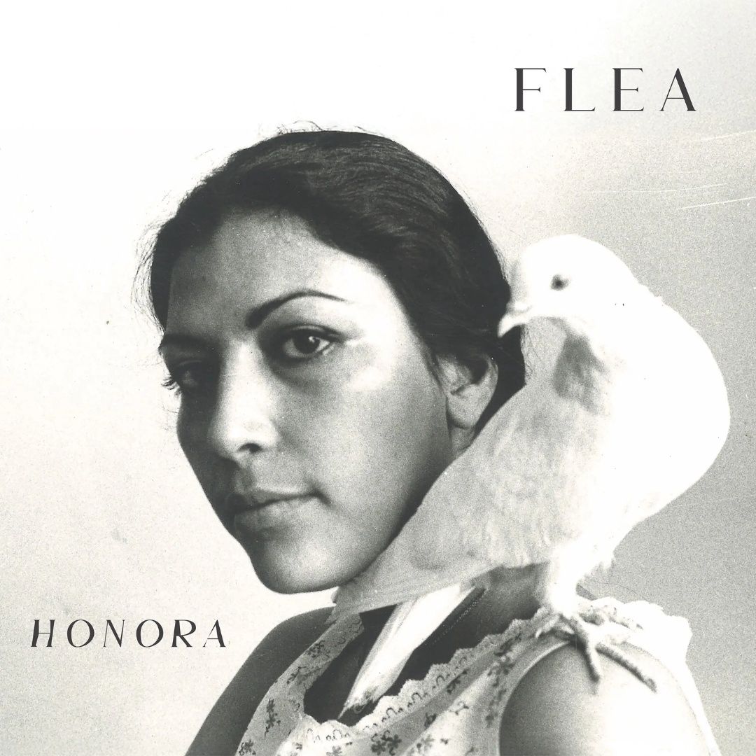 Flea | Honora | CD 1544