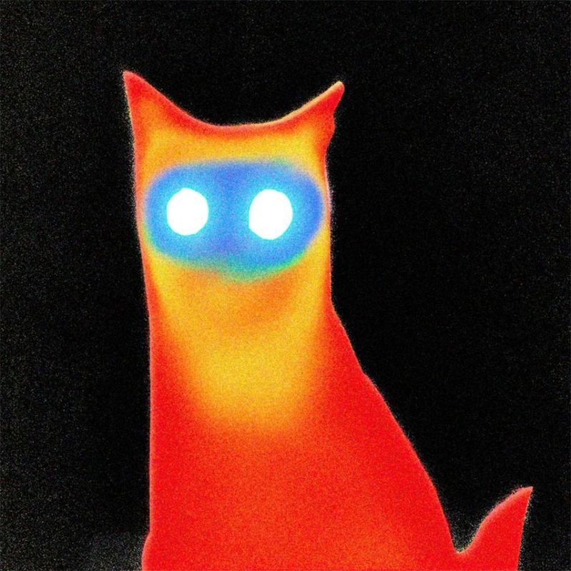 Basement | WIRED | CD 126