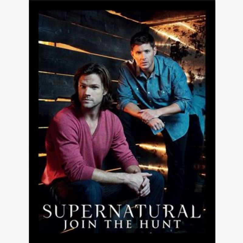 Supernatural (Brothers) Framed Collector Print