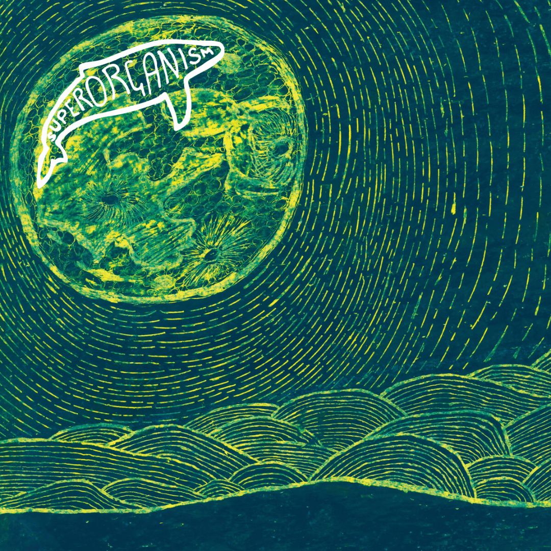 Superorganism | Superorganism | CD 64