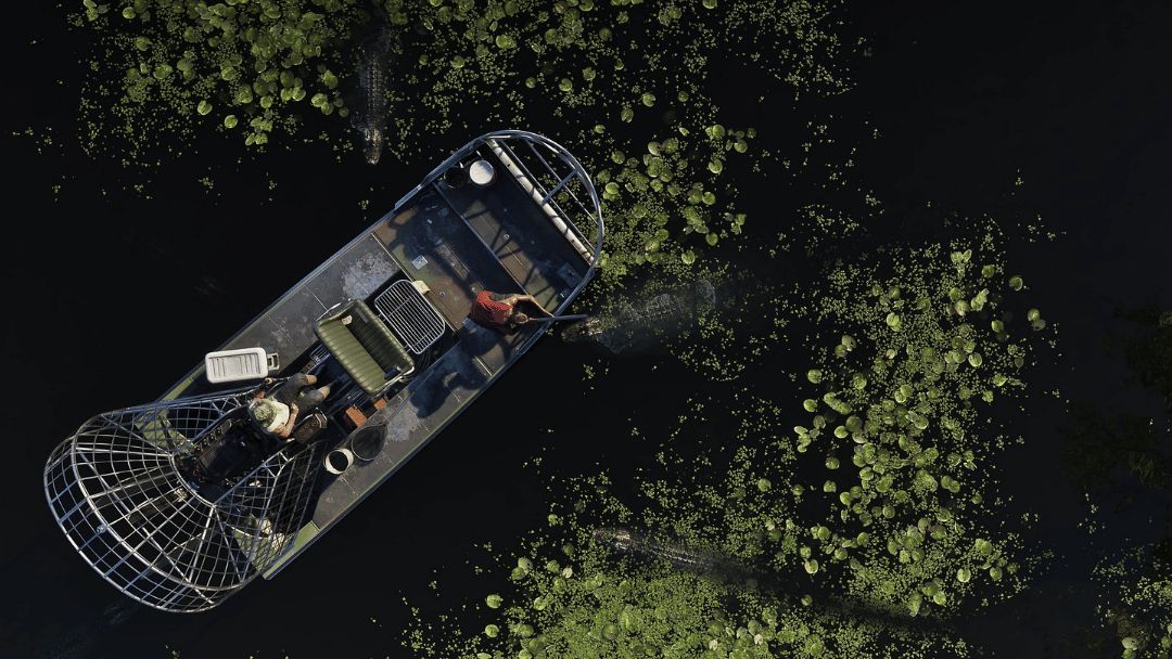 Grand Theft Auto VI | XSX