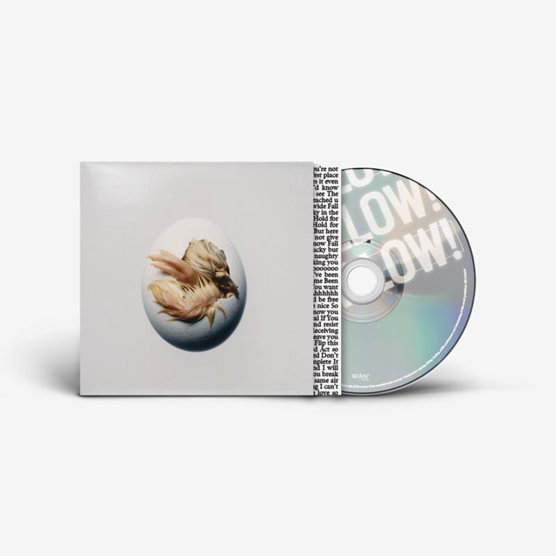 Shygirl | SWALLOW! CD