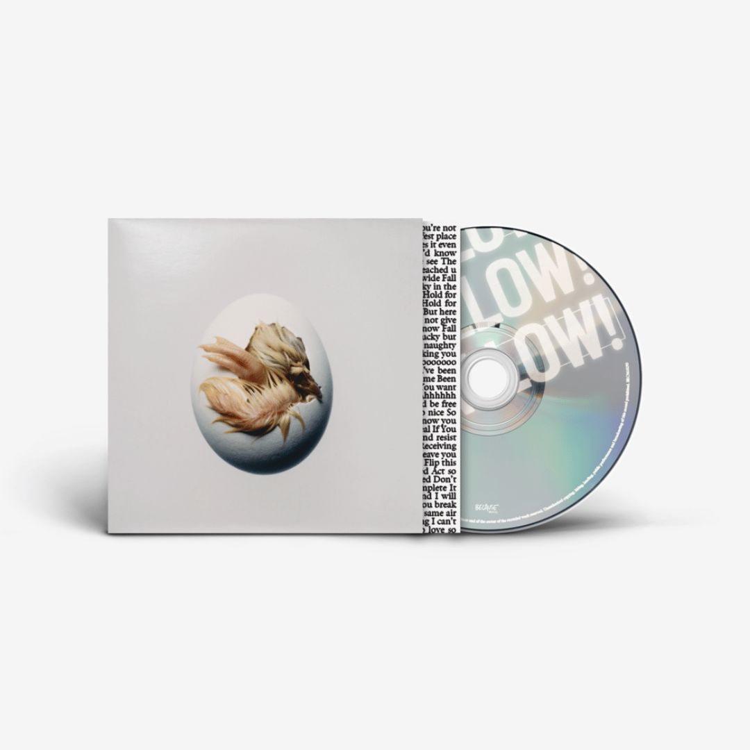 Shygirl | SWALLOW! CD