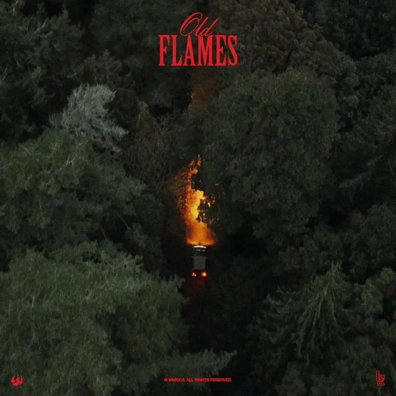 La Roux | Old Flames CD