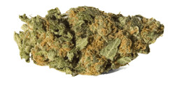 Joozy Frute (Humboldt County) - 3.5g Joozy Frute (Humboldt County) - 3.5g