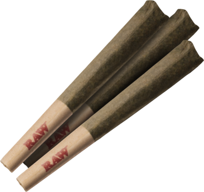 BC Grizzly PR - 3x0.5g