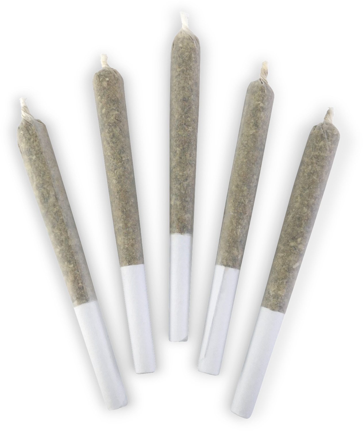 Master Kush Ultra PR - 5x0.5g