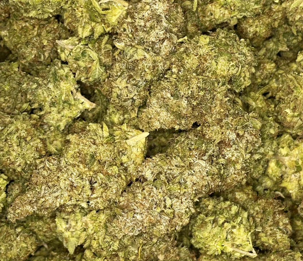 Moby Dick - 5g