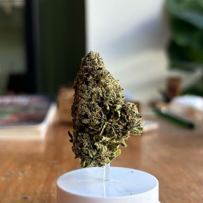 Banana Sherbet - 2g