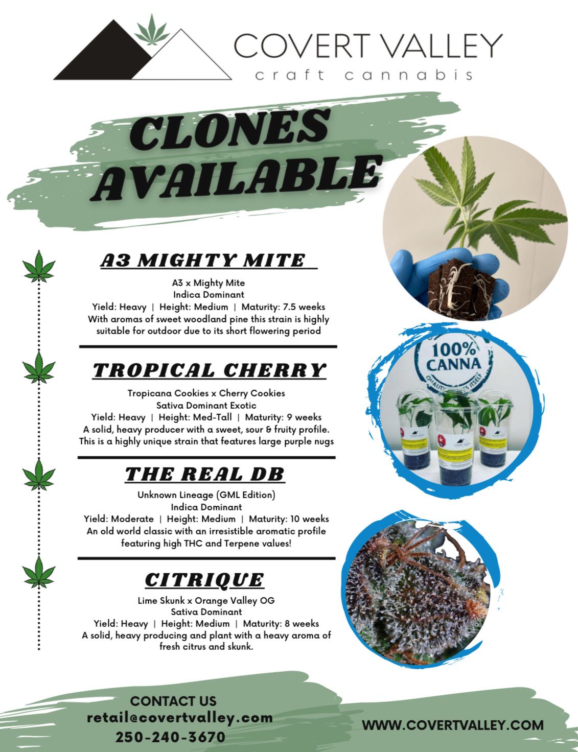 CLONES | PRE-ORDER  | PAY HALF NOW