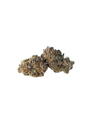 Shockwave x Black Truffle (Aftershock) - 3.5g Shockwave x Black Truffle (Aftershock) - 3.5g